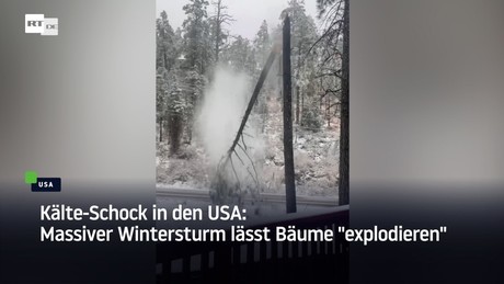 Kälte-Schock in den USA: Massiver Wintersturm lässt Bäume "explodieren"
