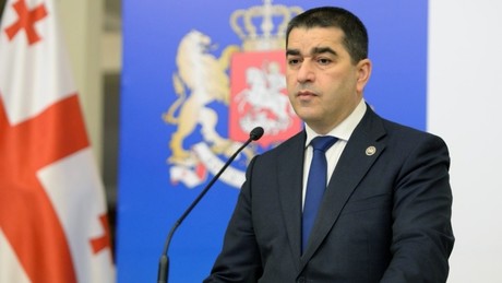 Parlamentspräsident: EU transferiert Geld an Schein-NGOs in Georgien