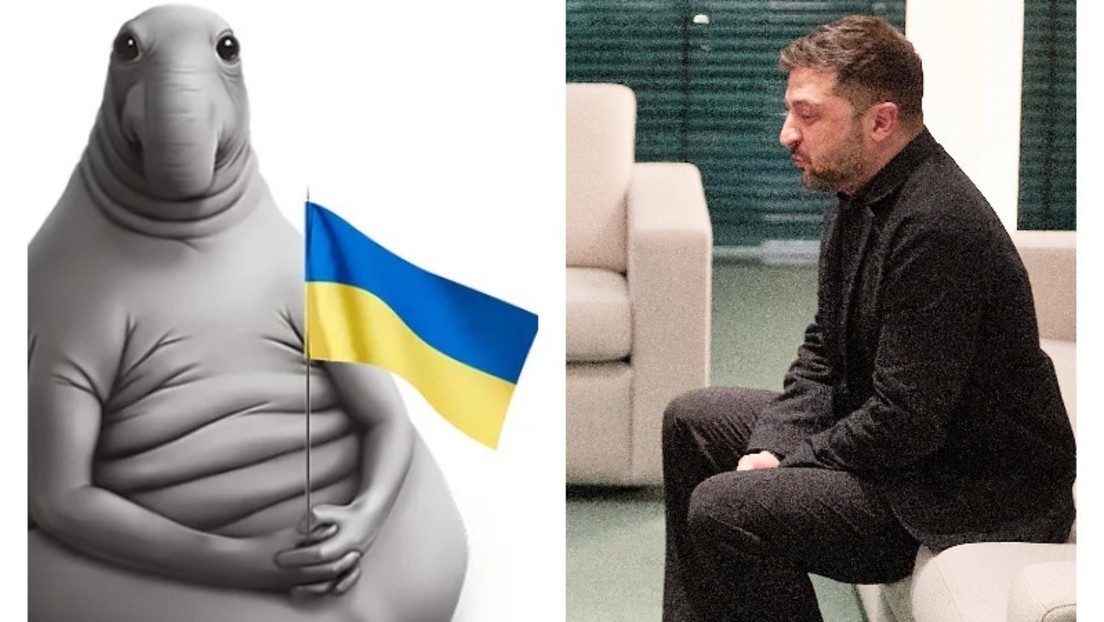 Selenskijs Strategie beständig – Verhandlungen torpedieren und auf ein Wunder warten