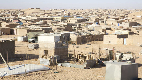 Annexion der Westsahara durch Marokko: EU plant mit Anerkennung Bruch des Völkerrechts