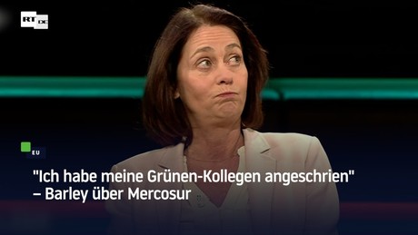 "Ich habe meine Grünen-Kollegen angeschrien" – Barley über Mercosur
