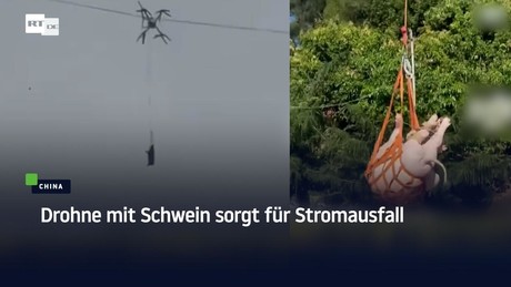 China: Drohne mit Schwein sorgt für Stromausfall