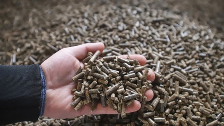 Frostwetter zeigt Polen den Preis für den Abbruch der Handelsbeziehungen zu Russland