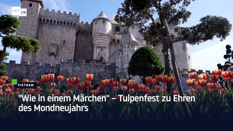 "Wie in einem Märchen" – Tulpenfest zu Ehren des Mondneujahrs