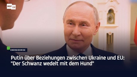 Putin über Beziehungen zwischen Ukraine und EU: "Der Schwanz wedelt mit dem Hund"