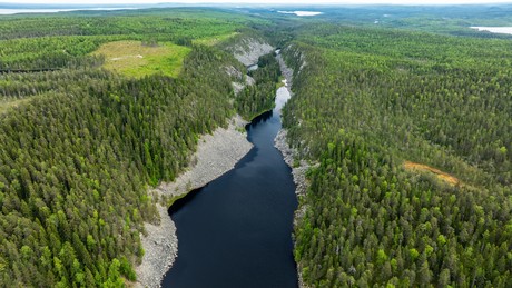 Grenzschließung zu Finnland stärkt Russlands Wirtschaft