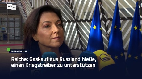 Reiche: Gaskauf aus Russland hieße, einen Kriegstreiber zu unterstützen