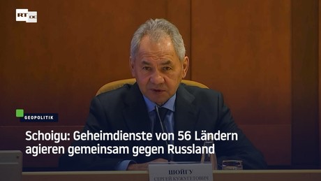 Schoigu: Geheimdienste von 56 Ländern agieren gemeinsam gegen Russland