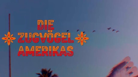Die Zugvögel Amerikas: Neue US-Politik zerstört Hoffnung vieler Migranten