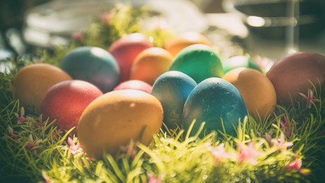Deutschland droht Eierknappheit zu Ostern