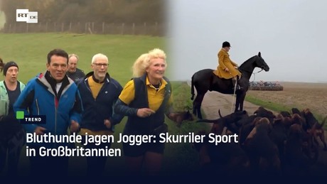 Bluthunde jagen Jogger: Skurriler Sport in Großbritannien