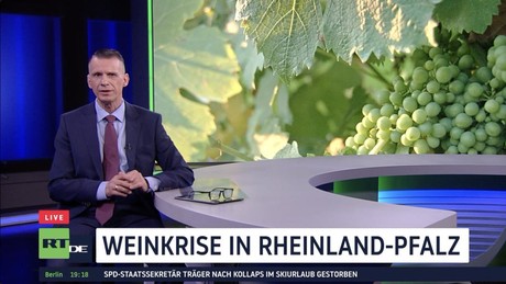 Rheinland-Pfalz wählt im Schatten der Weinkrise