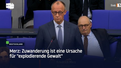 Merz: Zuwanderung ist eine Ursache für "explodierende Gewalt"