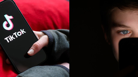 Österreich plant Social-Media-Verbot für Kinder unter 14 Jahren