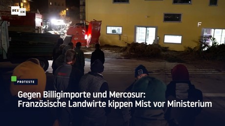 Gegen Billigimporte und Mercosur: Französische Landwirte kippen Mist vor Ministerium