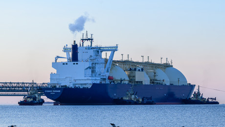 Medien: Japan will Wirtschaftsdelegation nach Russland entsenden