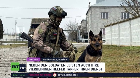 Exklusiv aus Nordkaukasus: So werden Diensthunde für Einsätze vorbereitet