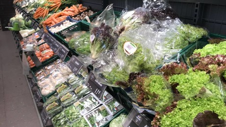 Diskussion über Steuerstreichung für Grundnahrungsmittel: Koalition will armen Menschen helfen