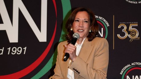 Kandidatur für US-Präsidentschaftswahlen: Kamala Harris wirft Hut in den Ring