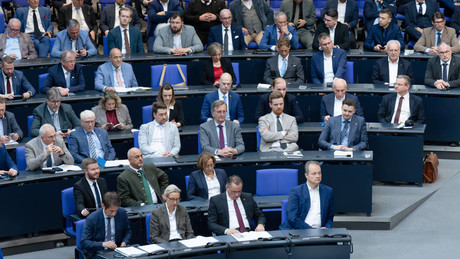 "Sonntagsfrage" – AfD legt zu, Union und SPD verlieren an Wählerzustimmung
