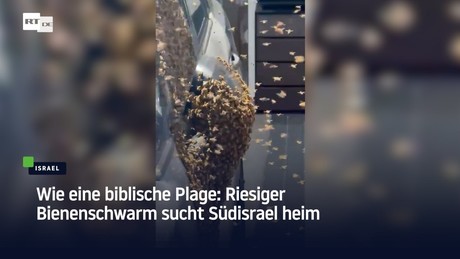 Wie eine biblische Plage: Riesiger Bienenschwarm sucht Südisrael heim