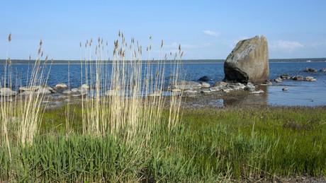 Drohnenfragmente an estnischer Nordküste entdeckt