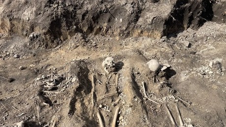 Gebiet Leningrad: Massengrab von Opfern der deutschen Terrorherrschaft entdeckt