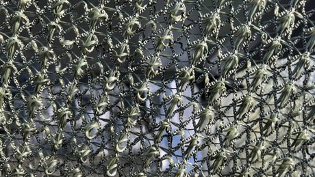 Liveticker Ukraine-Krieg: Einzigartiges Anti-Drohnen-Netz in Russland entwickelt