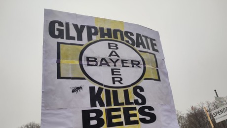 Klagen unterschätzt: Bayer zahlt 24 Milliarden Euro an Glyphosat-Geschädigte in den USA