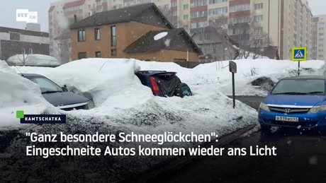"Ganz besondere Schneeglöckchen": Eingeschneite Autos kommen wieder ans Licht