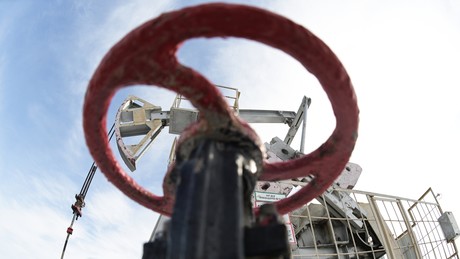 Sacharowa betont Russlands Beitrag zur Energiesicherheit Indiens: Öllieferungen werden aufgestockt