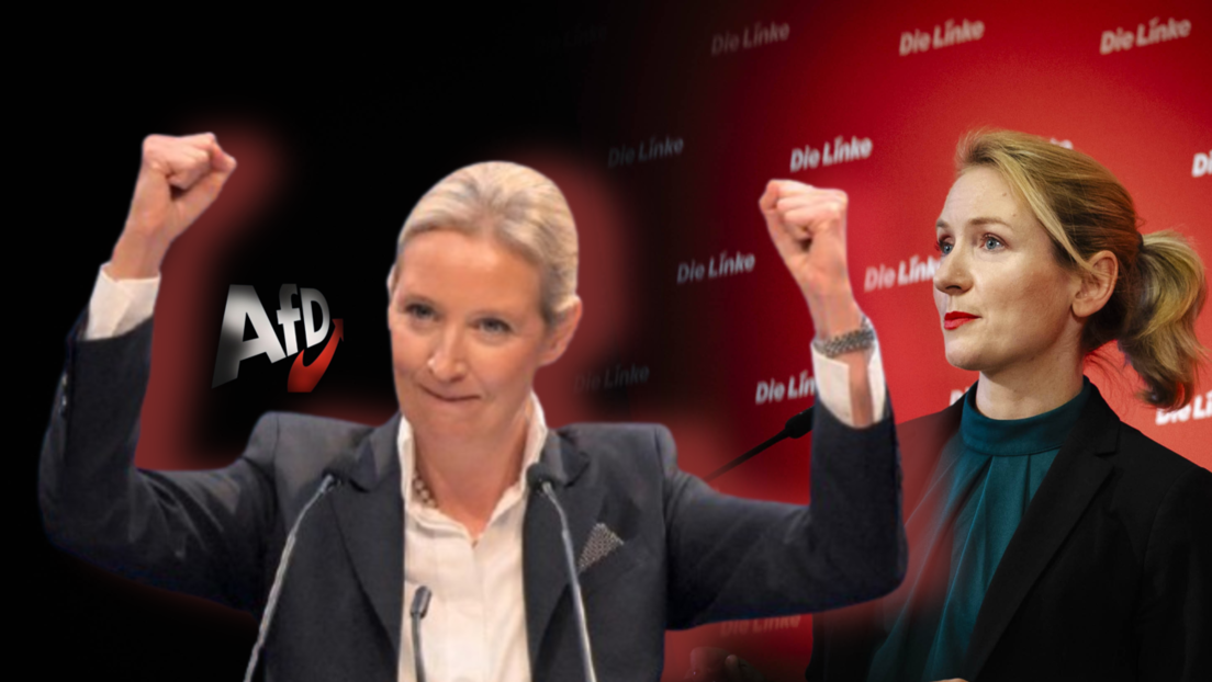 Lüge über Alice Weidel: Linken-Chefin Schwerdtner verliert vor Gericht