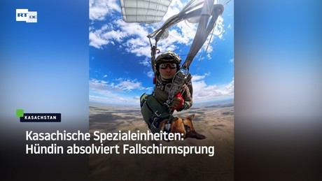 Kasachische Spezialeinheiten: Hündin absolviert Fallschirmsprung