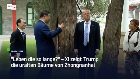 "Leben die so lange?" – Xi zeigt Trump die uralten Bäume von Zhongnanhai