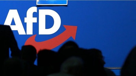 Panik der "Demokraten"? Innenminister warnen vor AfD-Regierung in Sachsen-Anhalt