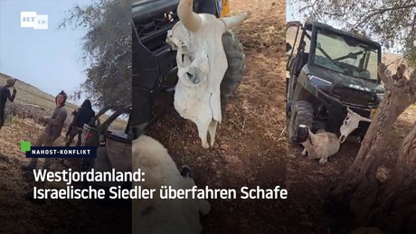 Westjordanland: Israelische Siedler überfahren Schafe
