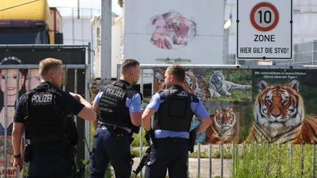 Leipzig: Entlaufener Tiger von der Polizei erschossen