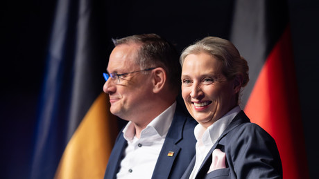 Wahlumfragen: AfD liegt bei knapp 30 Prozent