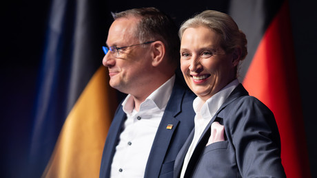 Wahlumfragen: AfD liegt bei knapp 30 Prozent