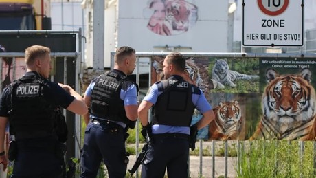 Leipzig: Entlaufener Tiger von der Polizei erschossen