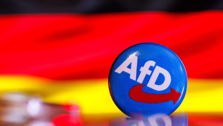 Die AfD und Deutschlands Krieg gegen die Wähler
