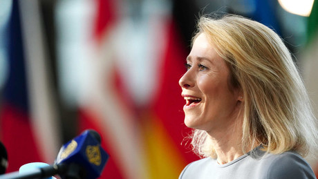 Duma-Abgeordneter wirft Kallas "Hysterie" vor – Kritik an EU-Diplomatie nach Vergeltungsschlag