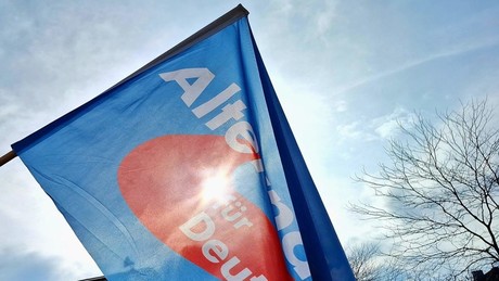 Insa: 70 Prozent rechnen mit ersten AfD-Ministerpräsidenten und zweifeln an "Brandmauer"