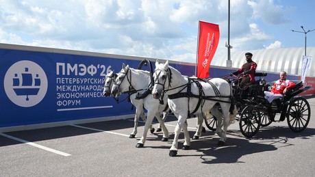 Zwischen Dialog und geopolitischen Spannungen: SPIEF 2026 startet in Sankt Petersburg