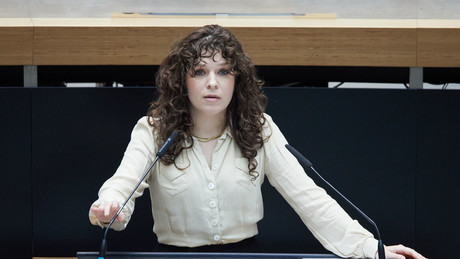 Berliner Linke will Grünen-Antrag zur Umgestaltung