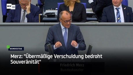 Merz: "Übermäßige Verschuldung bedroht Souveränität"