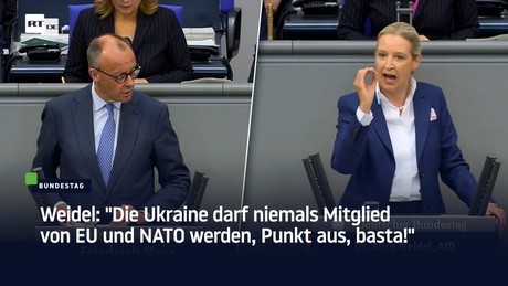 Weidel: "Die Ukraine darf niemals Mitglied von EU und NATO werden, Punkt aus, basta!"