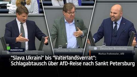 "Slava Ukraini" bis "Vaterlandsverrat": Schlagabtausch über AfD-Reise nach Sankt Petersburg
