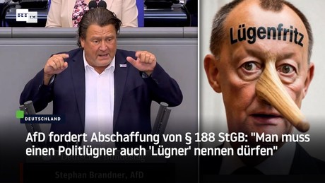 AfD fordert Abschaffung von § 188 StGB: "Man muss einen Politlügner auch 'Lügner' nennen dürfen"