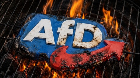 Aufruf zur Landtagswahl: AfD-Gegner sollen sich nach Halle ummelden